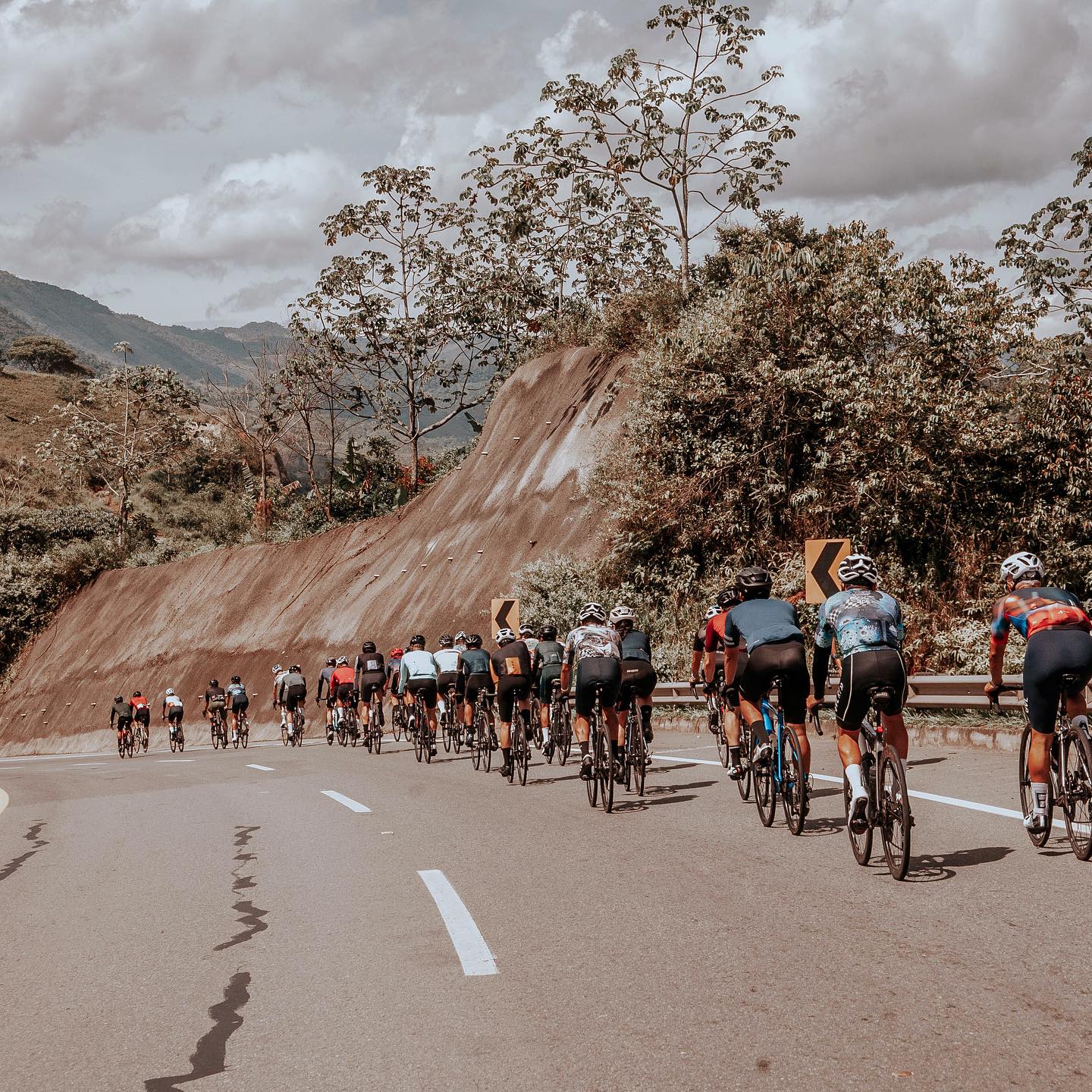 Ciclistas en carretera usando ropa ciclismo de ruta en Colombia

